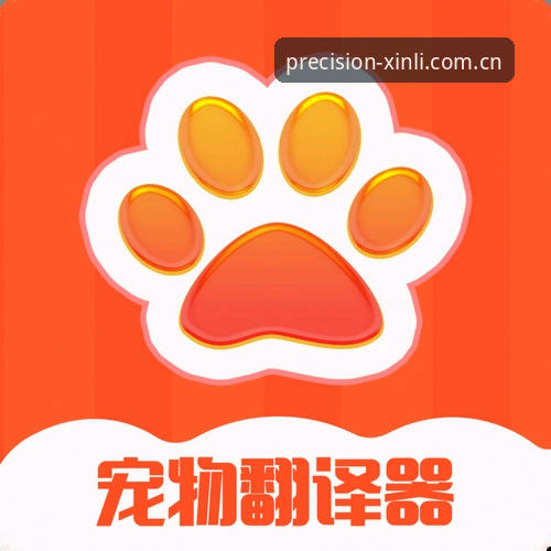 新利体育官方入口APP下载最新版使用指南：从安装到实战的硬核操作手册